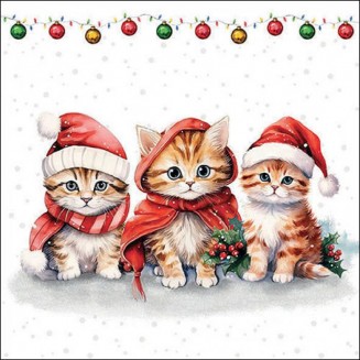 Ambiente 20 Χαρτοπετσέτες 33x33cm 3φύλλες Funny cute kittens FSC