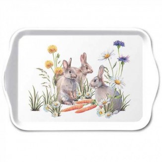 Ambiente Δίσκος Μελαμίνης 13x21cm Carrot Treat