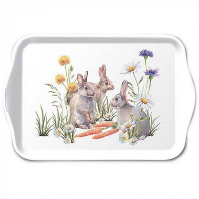 Ambiente Δίσκος Μελαμίνης 13x21cm Carrot Treat