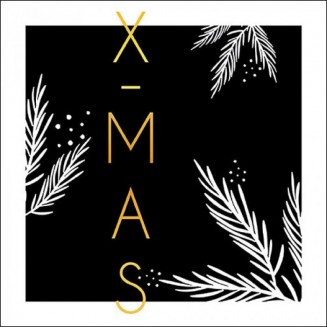 Ambiente 20 Χαρτοπετσέτες 33x33cm 3φύλλες Christmas Black FSC