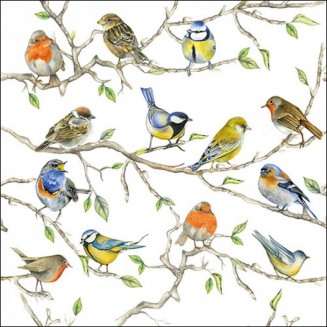 Ambiente 20 Χαρτοπετσέτες 33x33cm 3φύλλες Birds meeting FSC