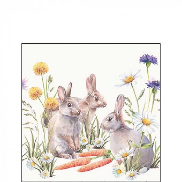 Ambiente 20 Χαρτοπετσέτες 25x25cm 3φύλλες Carrot Treat FSC